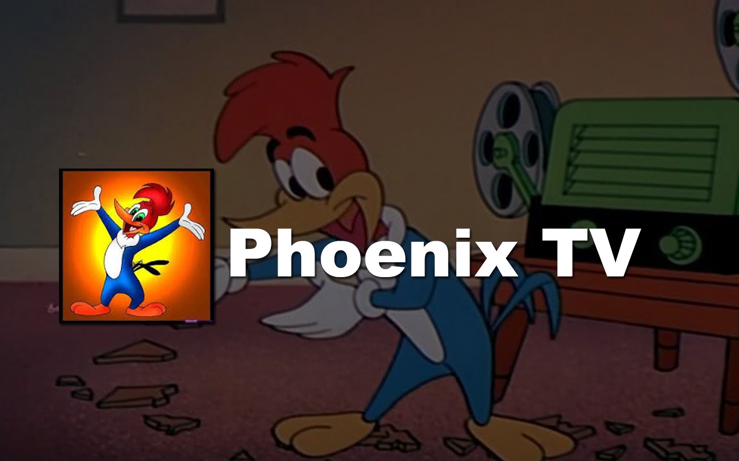 Read more about the article Phoenix TV Section Review